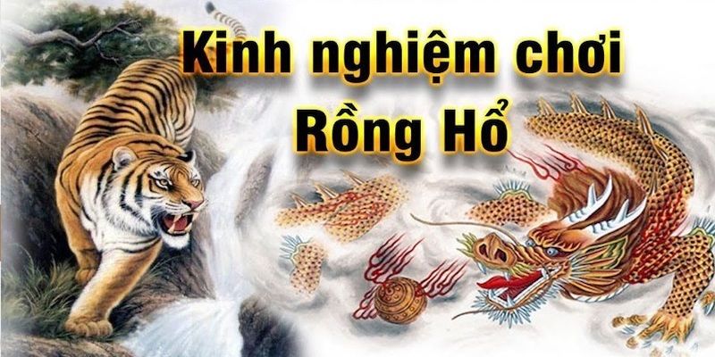 Học hỏi kinh nghiệm chơi Rồng Hổ để tỷ lệ thắng cao nhất